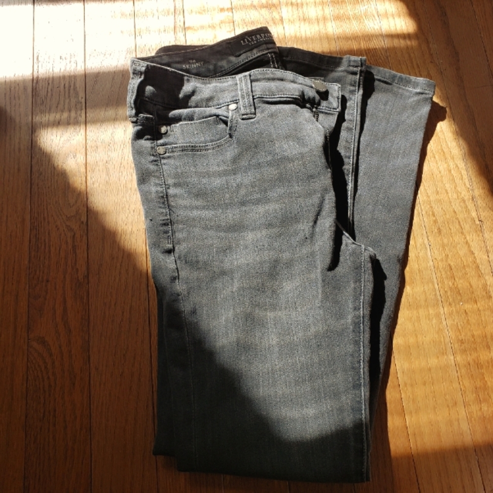 Liverpool Los Angeles/ Skinny Jean/ Normal Rise/ Petite 4/27/ Charcoal